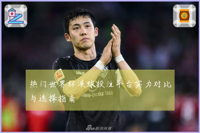热门世界杯滚球投注平台实力对比与选择指南