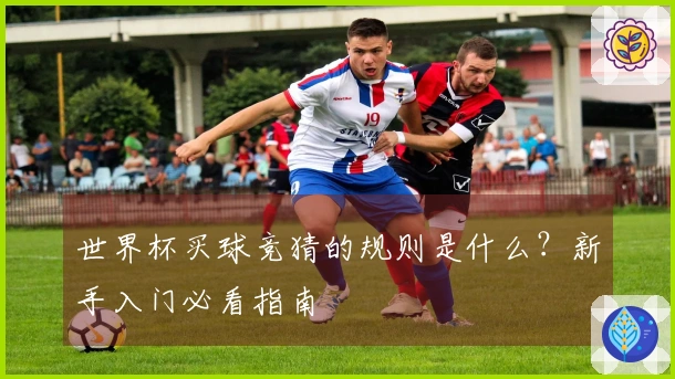 世界杯买球竞猜的规则是什么？新手入门必看指南