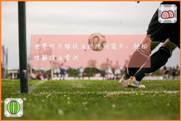 世界杯买球投注的规则简介，轻松理解投注常识