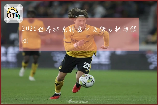 2026世界杯竞猜盘口走势分析与预测
