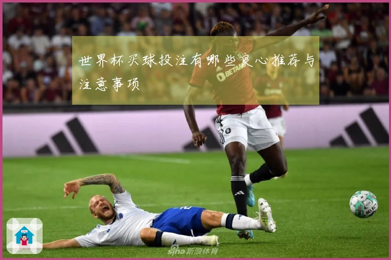 世界杯买球投注有哪些良心推荐与注意事项