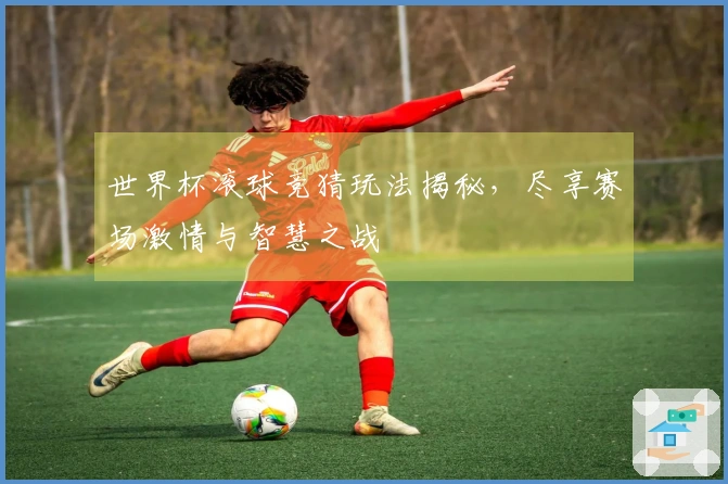 世界杯滚球竞猜玩法揭秘，尽享赛场激情与智慧之战