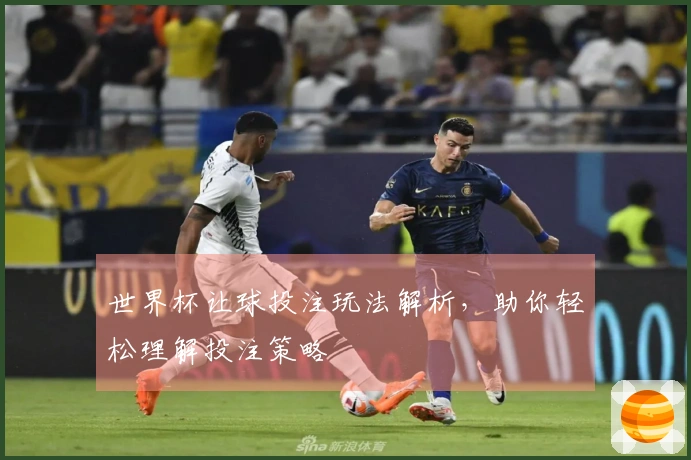 世界杯让球投注玩法解析，助你轻松理解投注策略
