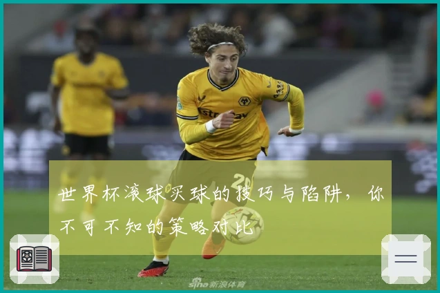 世界杯滚球买球的技巧与陷阱，你不可不知的策略对比