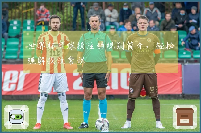 世界杯买球投注的规则简介，轻松理解投注常识