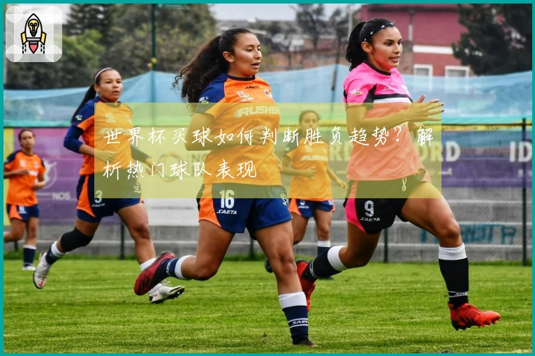 世界杯买球如何判断胜负趋势？解析热门球队表现